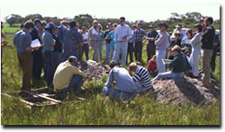 Photo: Soil pit field day held for the Australian Society of Soil Science, 1995.