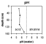 Graph: Site SG10, pH Levels