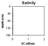 Graph: Soil Site SG10, Salinity Levels