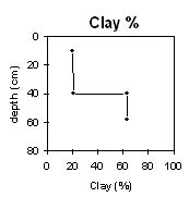 Graph: Soil Site SG11 Clay %