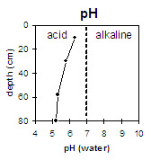 Graph: Soil Site SG11, pH Levels