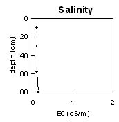 Graph: Site SG11, Salinity Levels