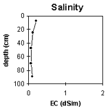 Graph: Soil Site SG12, Salinity Levels