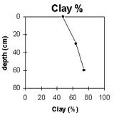 Graph: Soil Site SG13 Clay