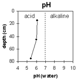 Graph: Soil Site SG13, pH levels