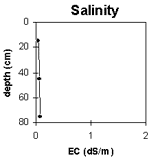 Graph: Soil Site SG13 Salinity levels