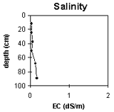 Graph: West Gippsland Soil Site SG3, Salinity Levels