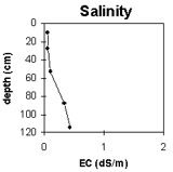 Graph: West Gippsland Soil Site SG4, Salinity levels