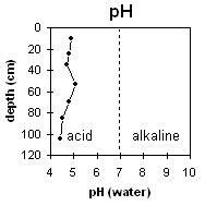 graph: site SG8 pH