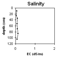 Graph: Site sg8 salinity
