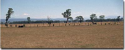 Photo: Soil Site G32 landscape