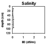 GRAPH: Soil Site G32 salinity