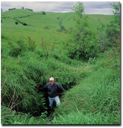 Photo: A tunnel erosion site that has been fenced and re-vegetated.