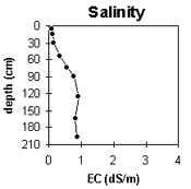 Image: IS32 Salinity Graph