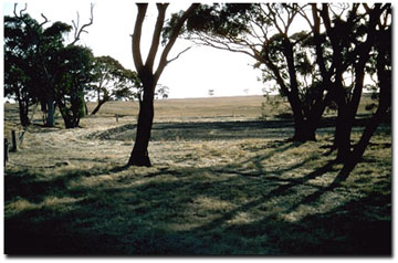 Image: LS3 Landscape
