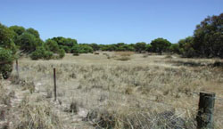 WLRA Landform Big Desert jumbled dunes