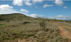 WLRA Landform Kanya hills