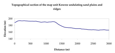 WLRA Landform Kowree undulating sand plains and ridges