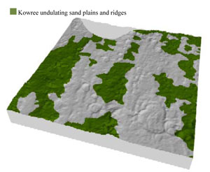WLRA Landform Kowree undulating sand plains and ridges