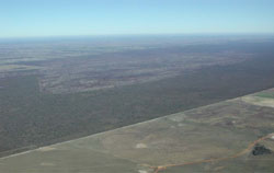WLRA Landform Little Desert parabolic