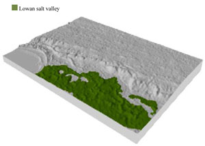 WLRA Landform Lowan salt valley