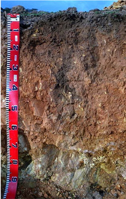 WLRA - soil pit LP83- profile
