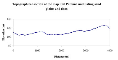 WLRA Landform Perenna undulating sand plains and rises
