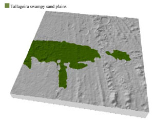 WLRA Landform Tallageira swamp sand plains