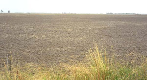 WLRA - soil pit WIA17- landscape