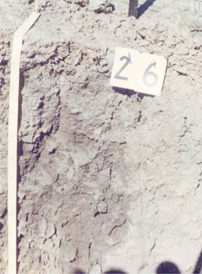 WLRA - soil pit WIA22- profile