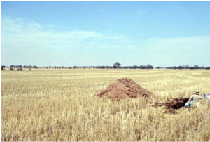 WLRA - soil pit WLRA132- landscape