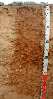 WLRA - soil pit WLRA138- profile