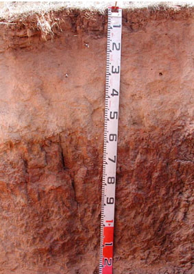 WLRA - soil pit WLRA141- profile
