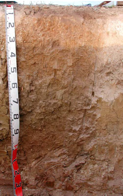 WLRA - soil pit WLRA144- profile