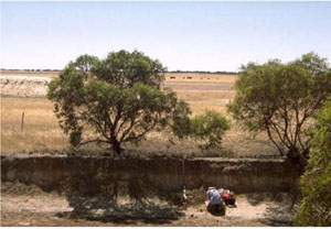 WLRA - soil pit WW30- landscape