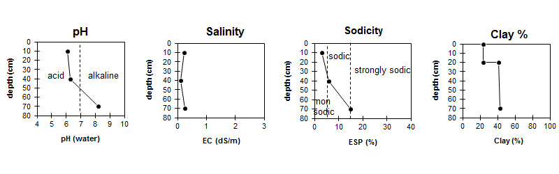 Image:  SFS13 graphs