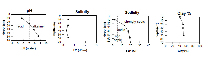 Image:  SFS18 graphs