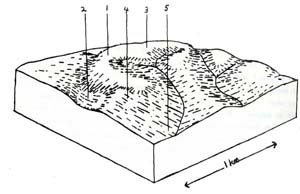 Wonga Cross Section