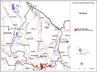 Ferrosols