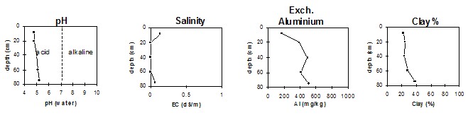 GP80 graphs