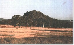 Image: Eruption Point Hanging Rock