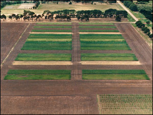 Aerial photograph of the LR1 experimental trial at Longerenong