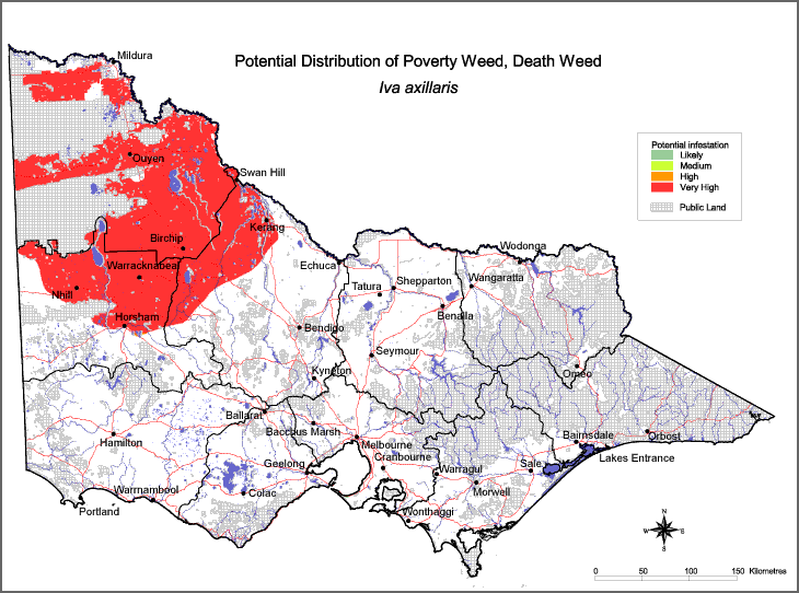 Map:  Potential distribution - Poverty Weed