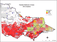 Map: Potential distribution of Gorse/Furze