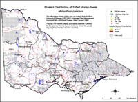 Map:  Present distribution Tufted Honeyflower