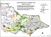 Map:  Present distribution Variegated Thistle