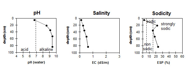 Image: LS12 Graphs