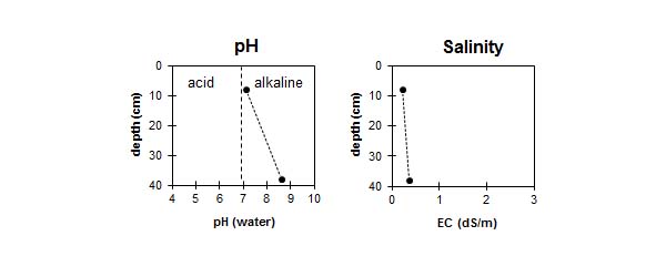 Image: LS23 graphs