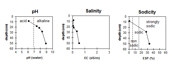 Image: LS6 graphs