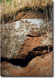 Example of a stony Dermosol